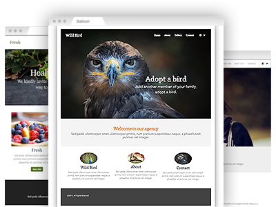 A collection of fully customizable website themes